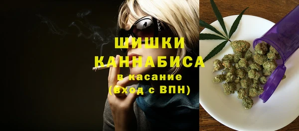дживик Богородск