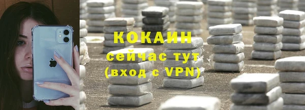 дживик Богородск