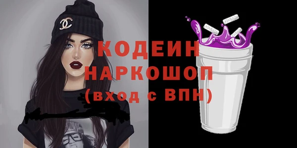 прущий лед Бородино