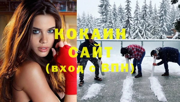 прущий лед Бородино