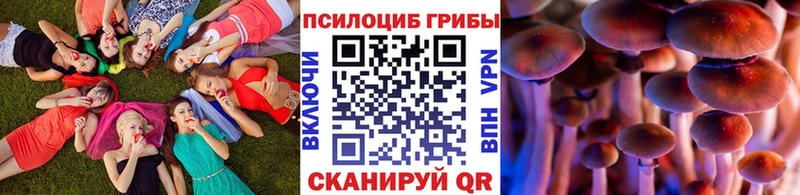 Псилоцибиновые грибы Magic Shrooms Мытищи
