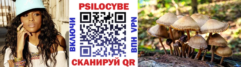 Псилоцибиновые грибы Psilocybine cubensis  как найти закладки  Мытищи 