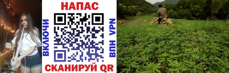 Конопля THC 21%  продажа наркотиков  Мытищи 
